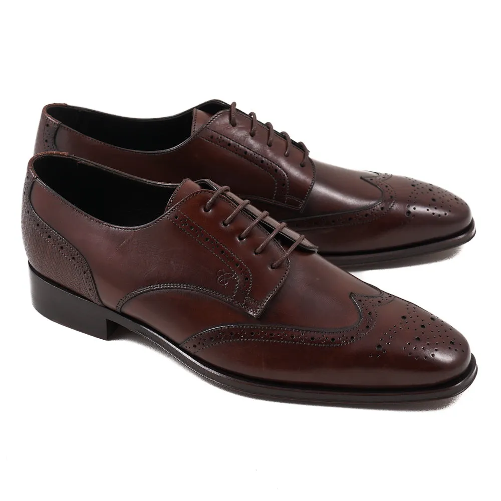 Canali Brown Wingtip Derby