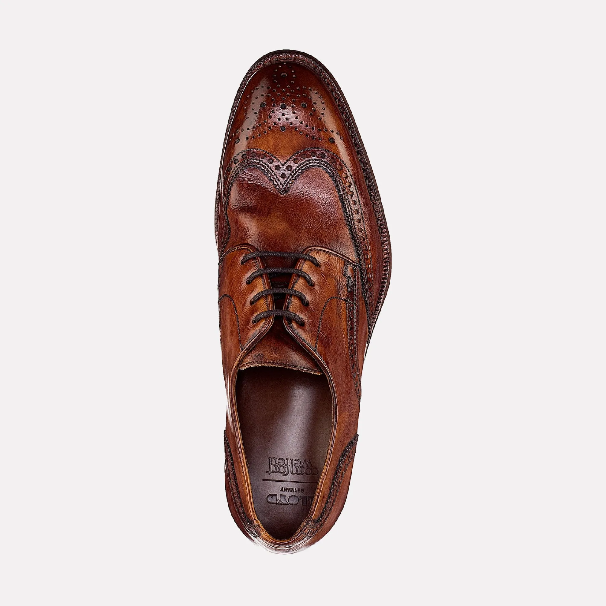 Ores Lace Up Wingtip Leather Dress Shoe / Marrone