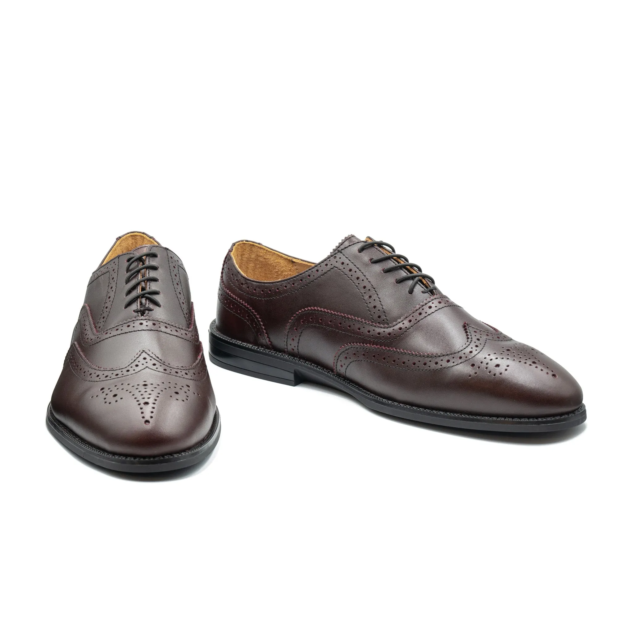 RAPTOR Wingtip Oxfords (Discontinued Colors)