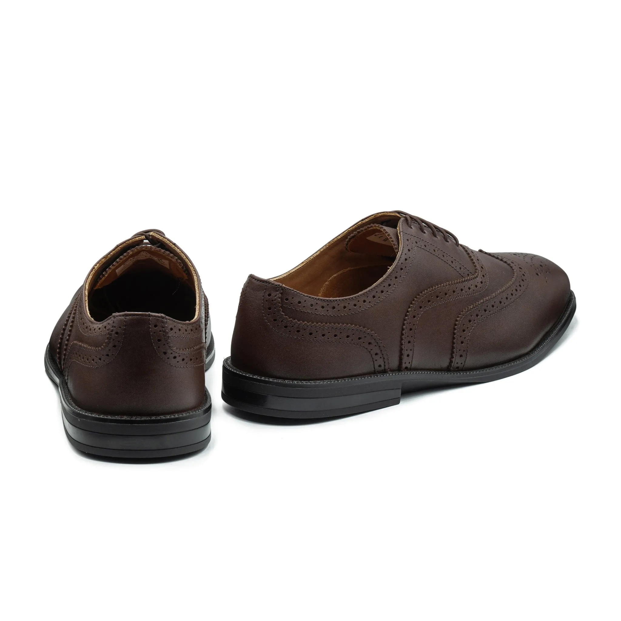 RAPTOR Wingtip Oxfords (Discontinued Colors)