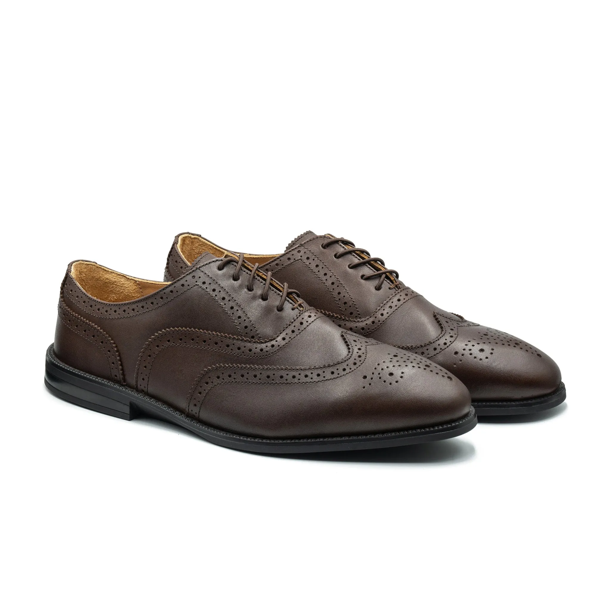 RAPTOR Wingtip Oxfords (Discontinued Colors)