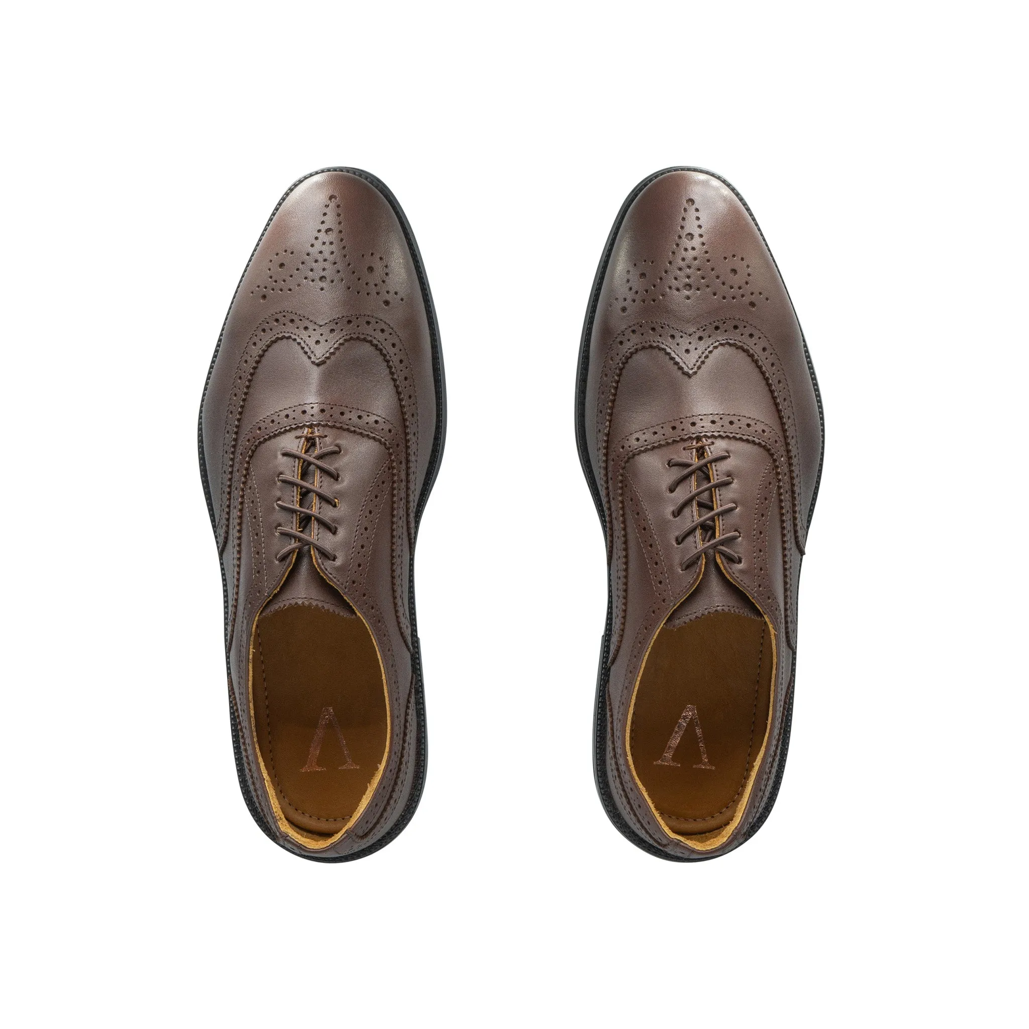 RAPTOR Wingtip Oxfords (Discontinued Colors)