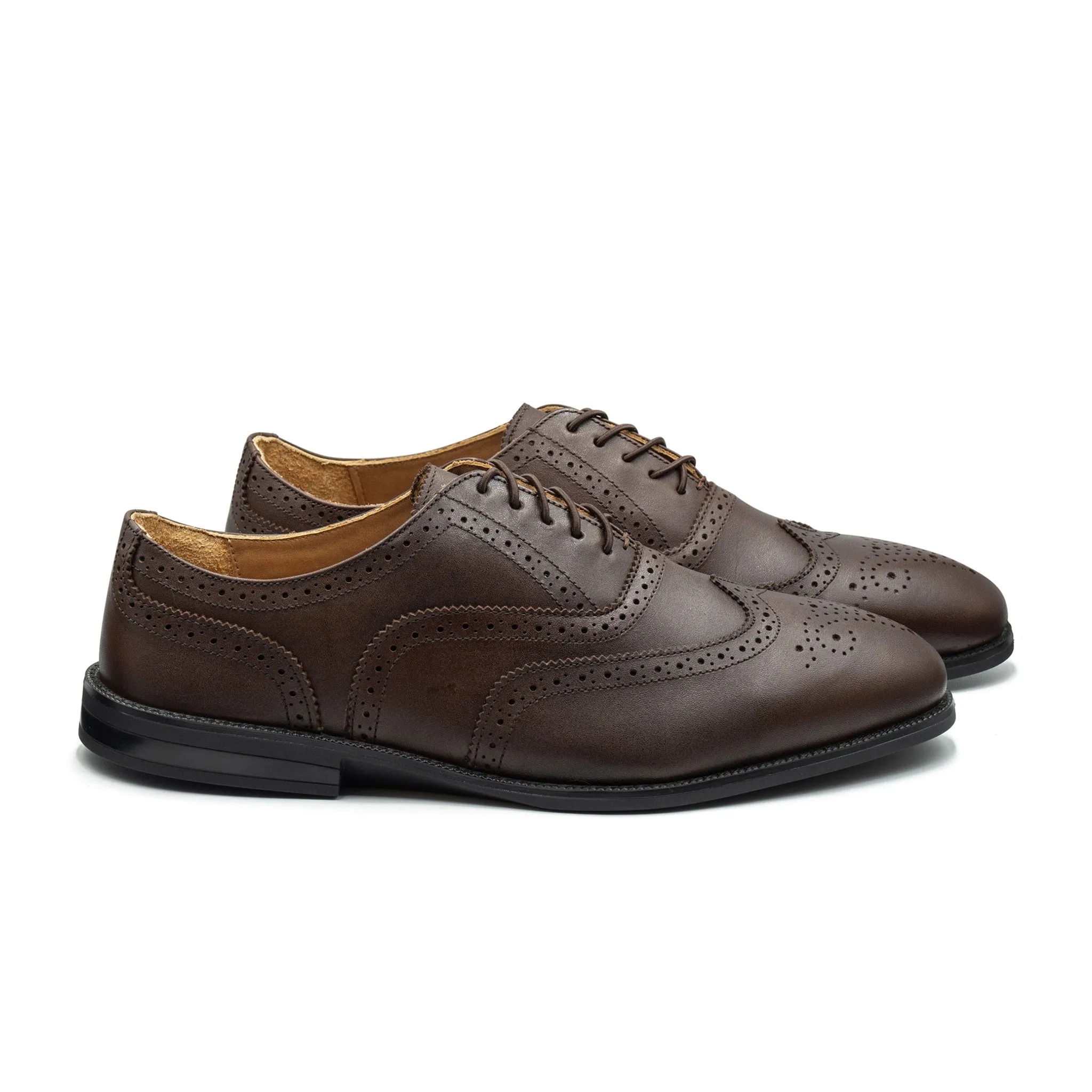RAPTOR Wingtip Oxfords (Discontinued Colors)