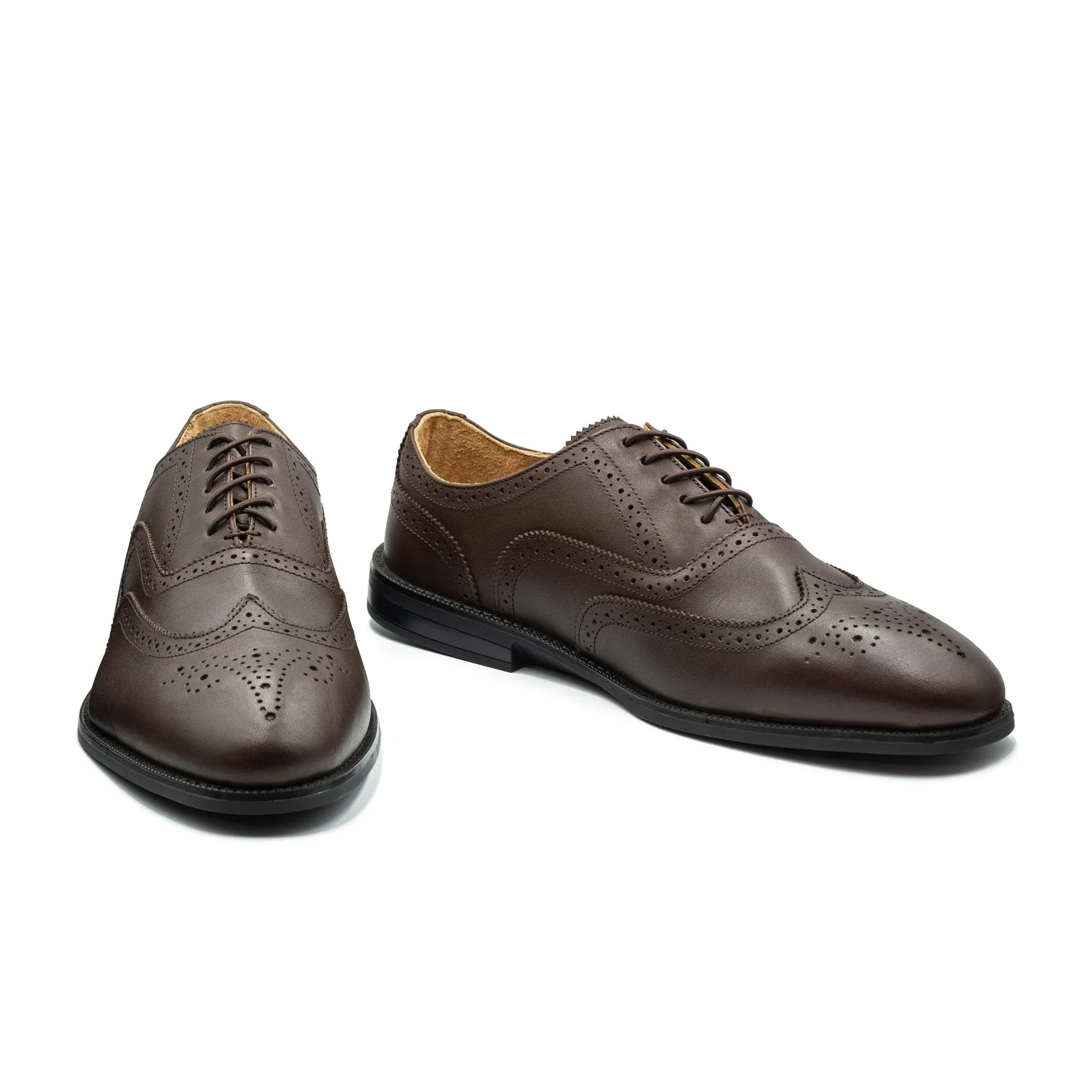 RAPTOR Wingtip Oxfords (Discontinued Colors)