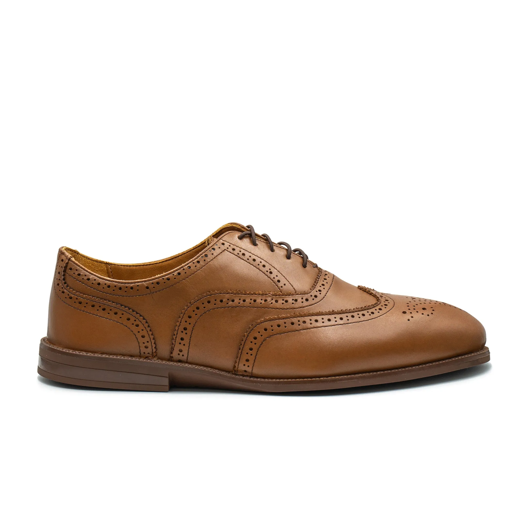 RAPTOR Wingtip Oxfords (Discontinued Colors)