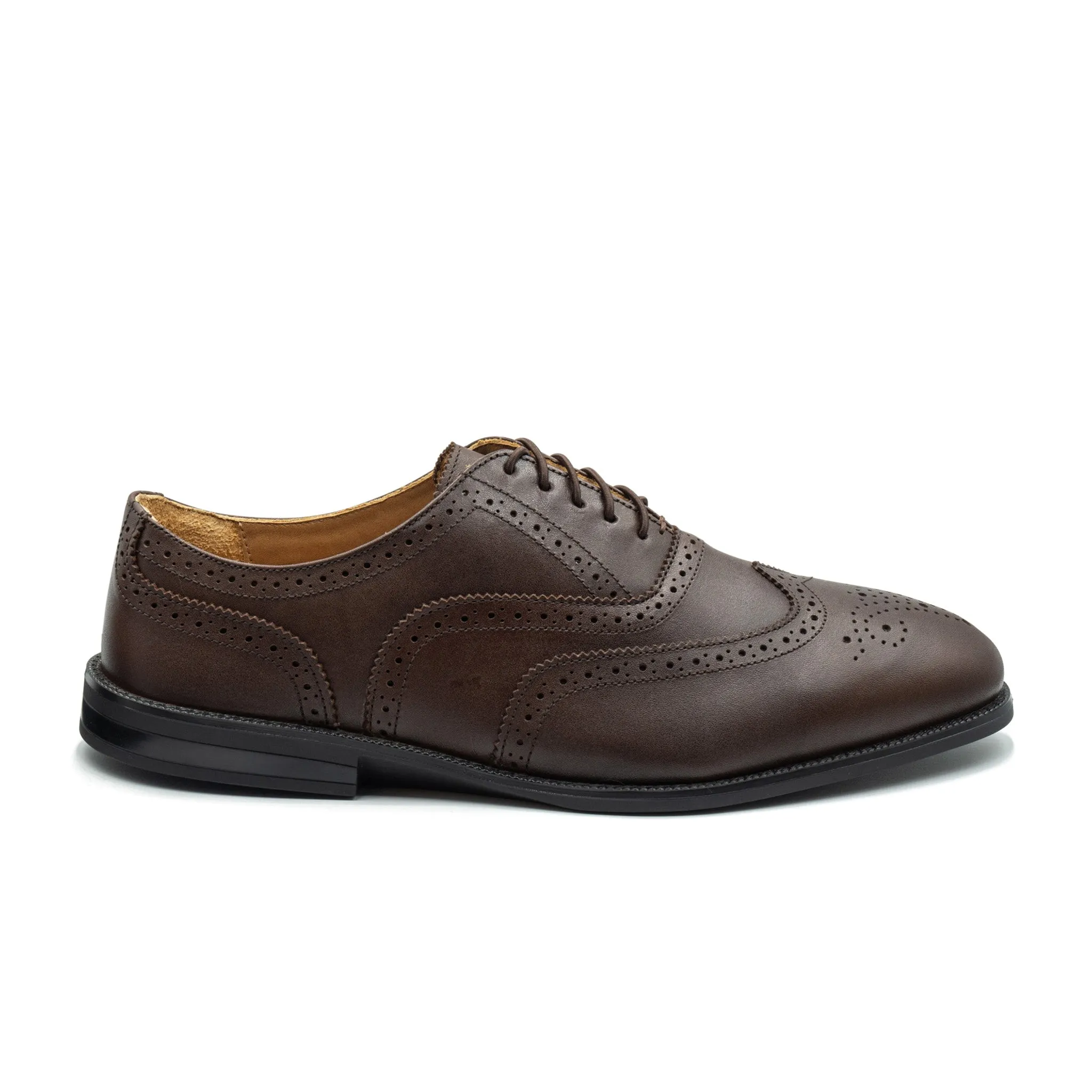 RAPTOR Wingtip Oxfords (Discontinued Colors)