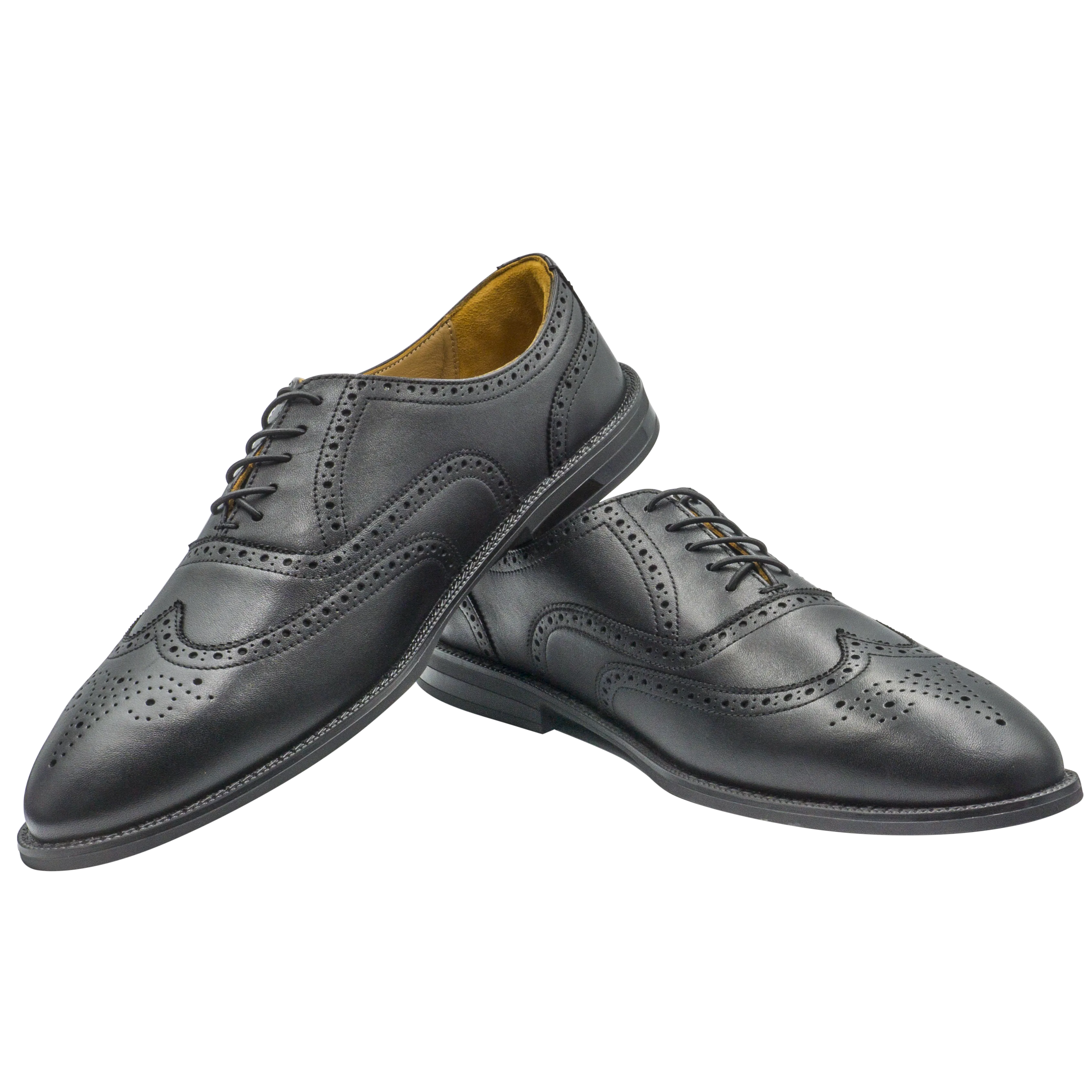 RAPTOR Wingtip Oxfords (Outlet)
