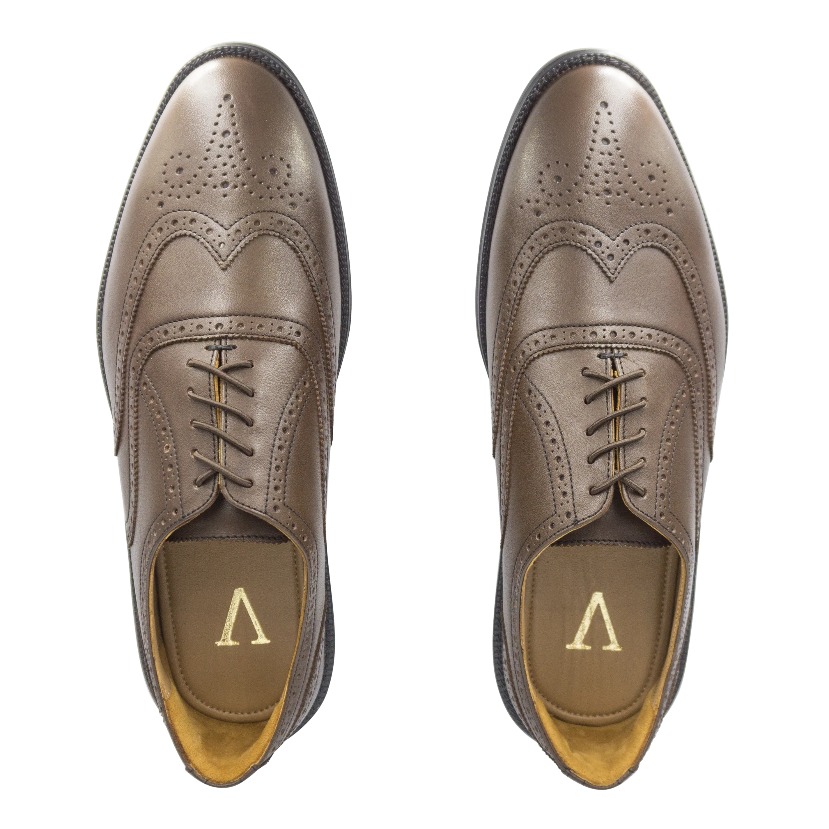 RAPTOR Wingtip Oxfords (Outlet)