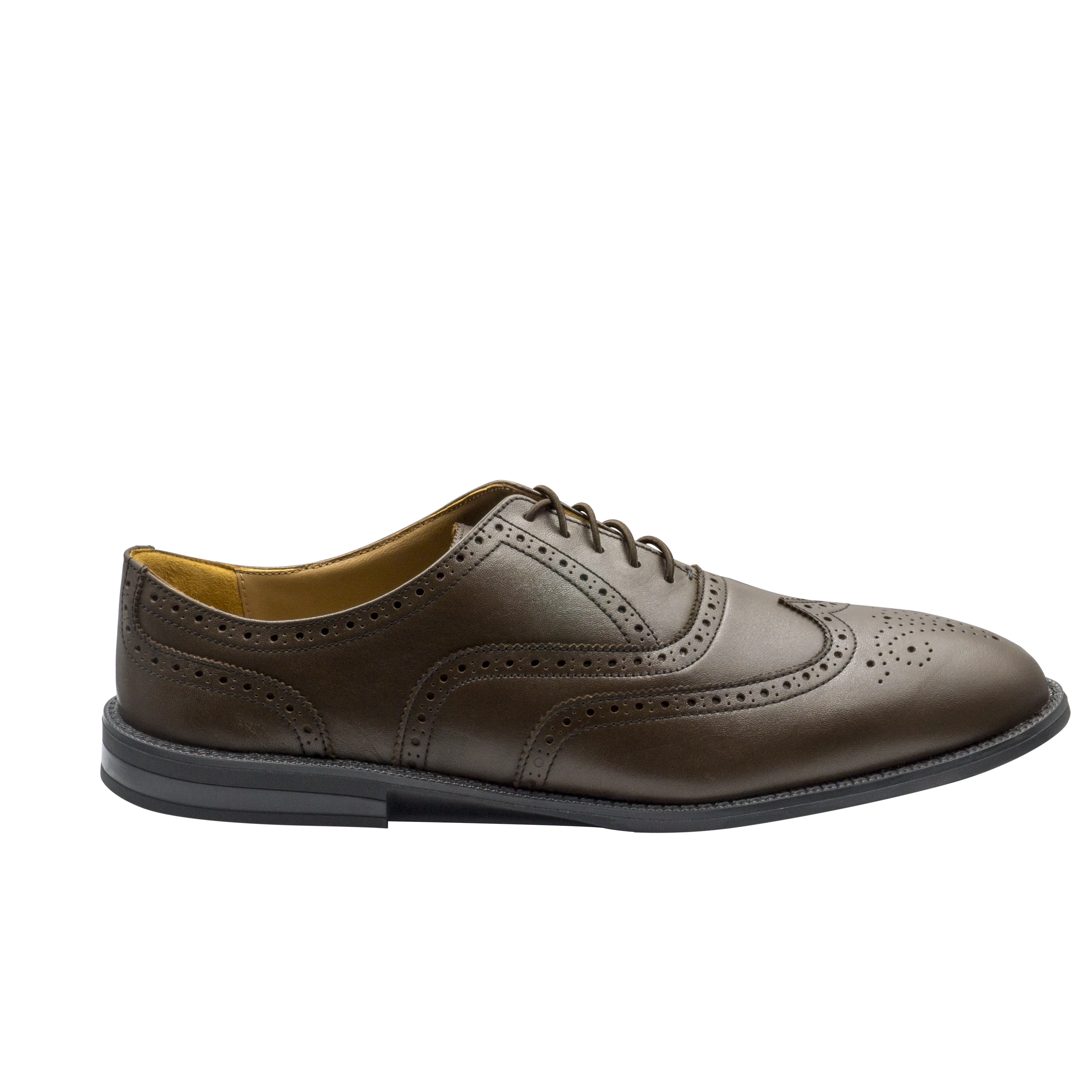 RAPTOR Wingtip Oxfords (Outlet)