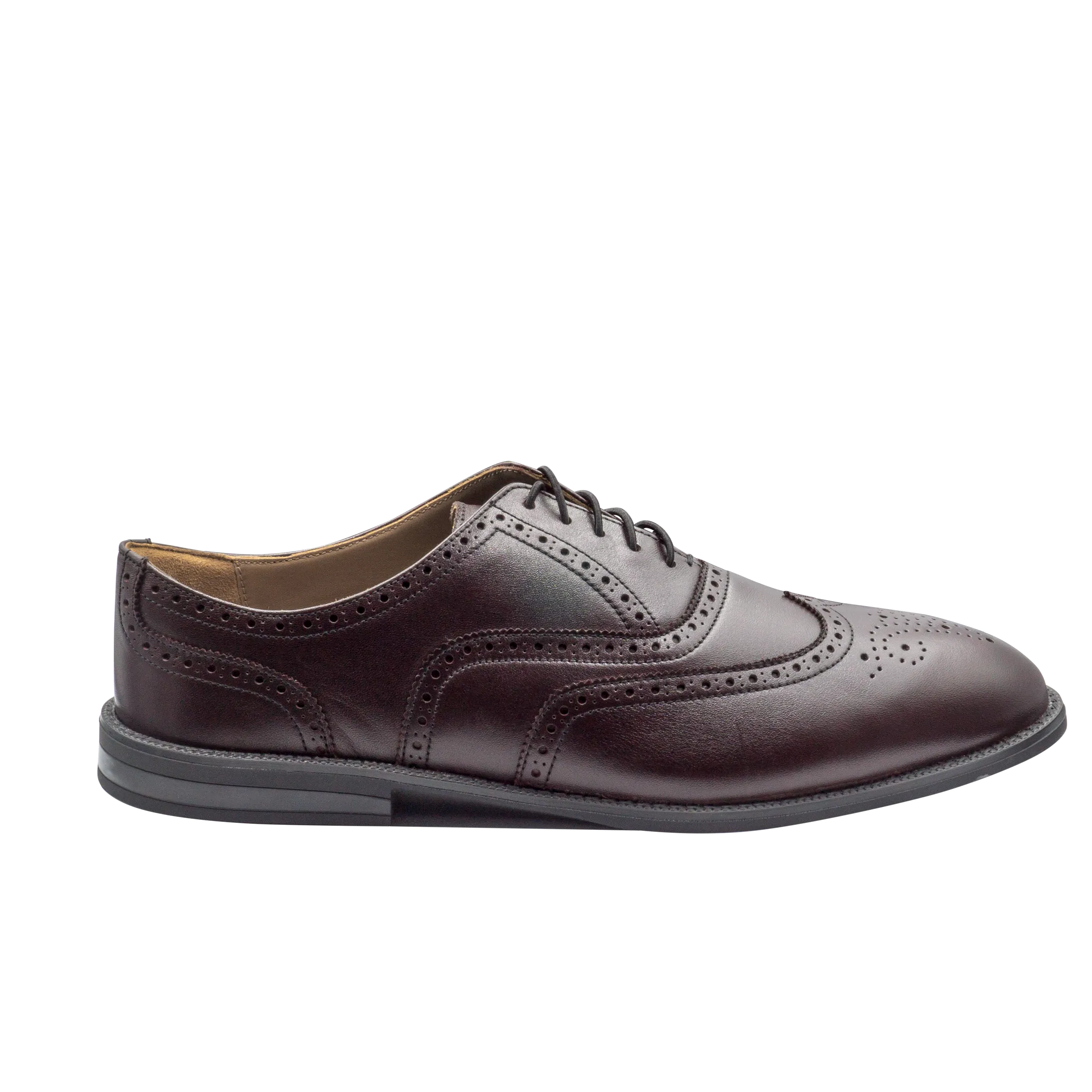 RAPTOR Wingtip Oxfords (Outlet)