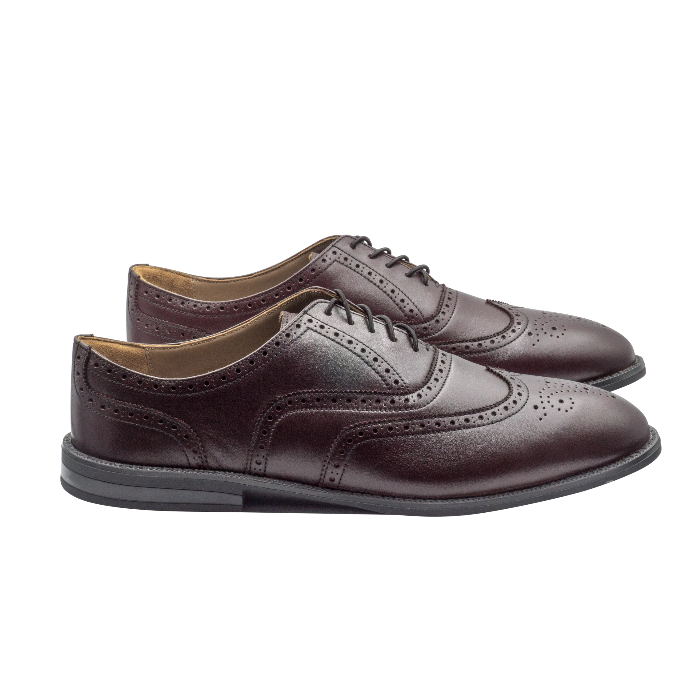 RAPTOR Wingtip Oxfords (Outlet)