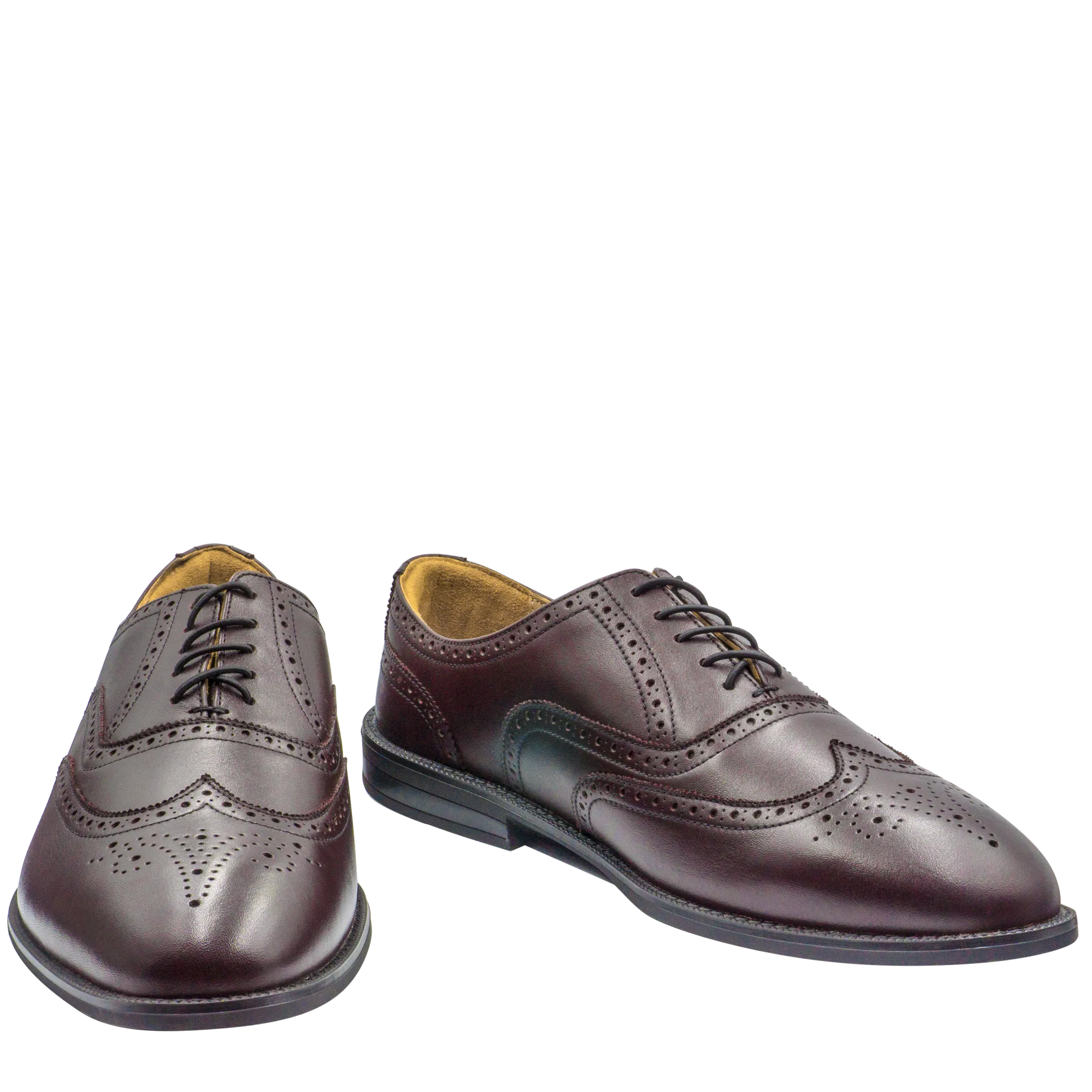 RAPTOR Wingtip Oxfords (Outlet)