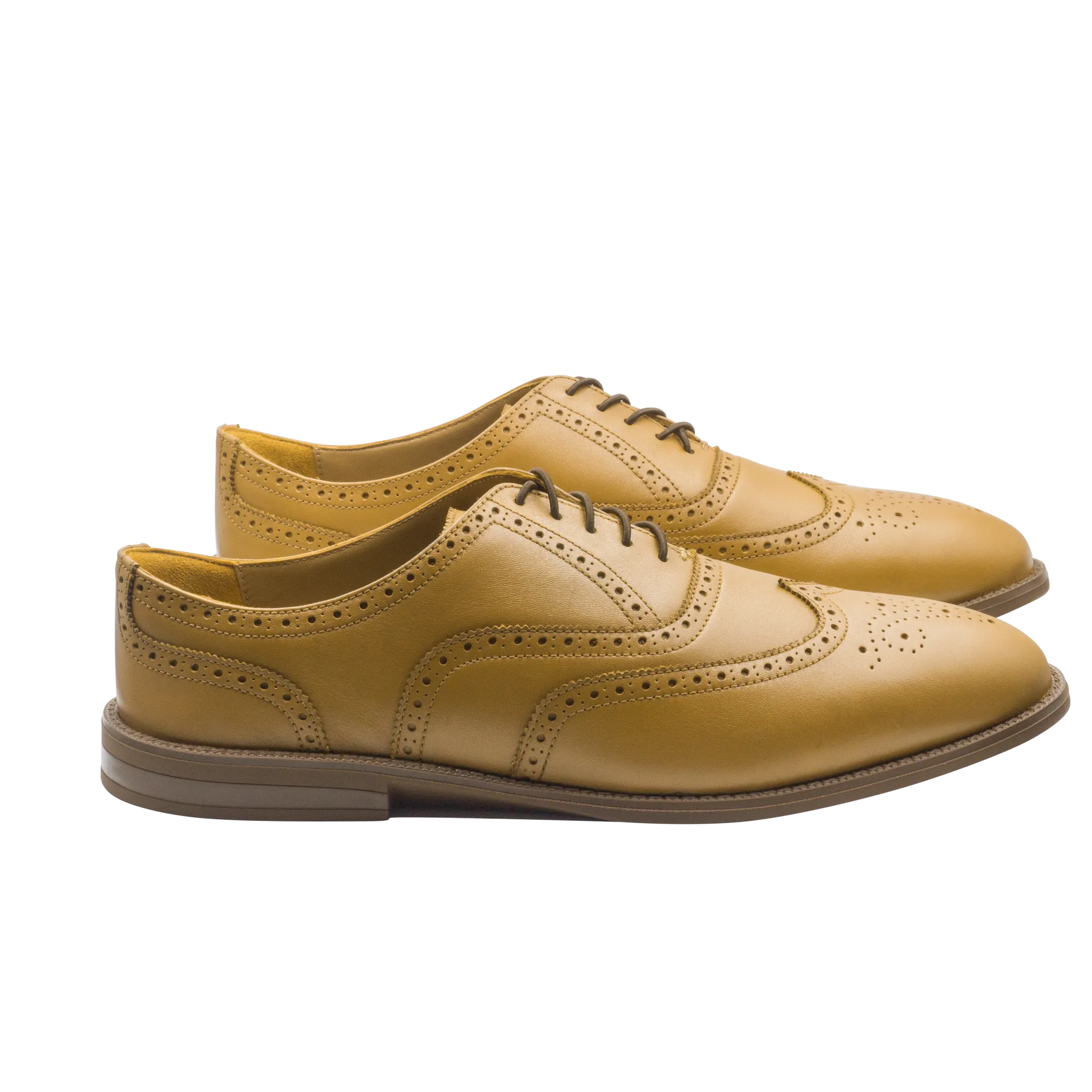 RAPTOR Wingtip Oxfords (Outlet)