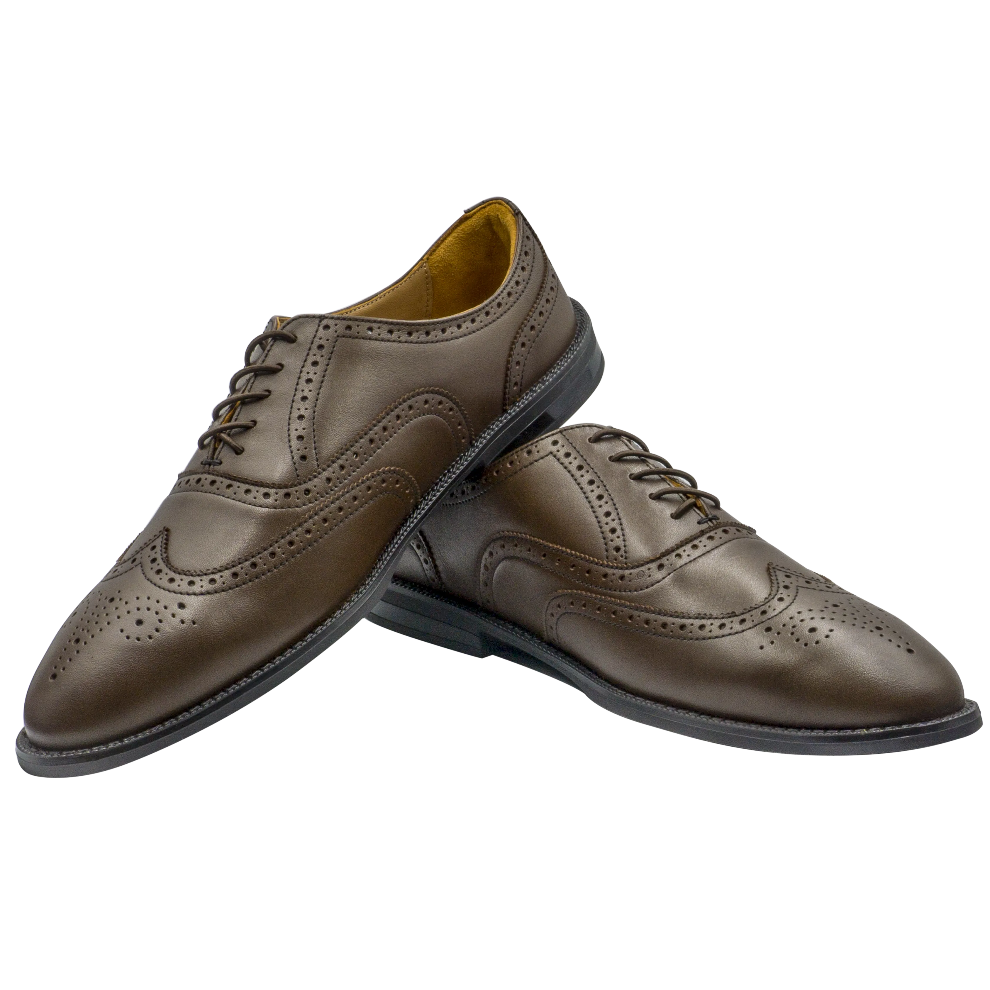 RAPTOR Wingtip Oxfords (Outlet)