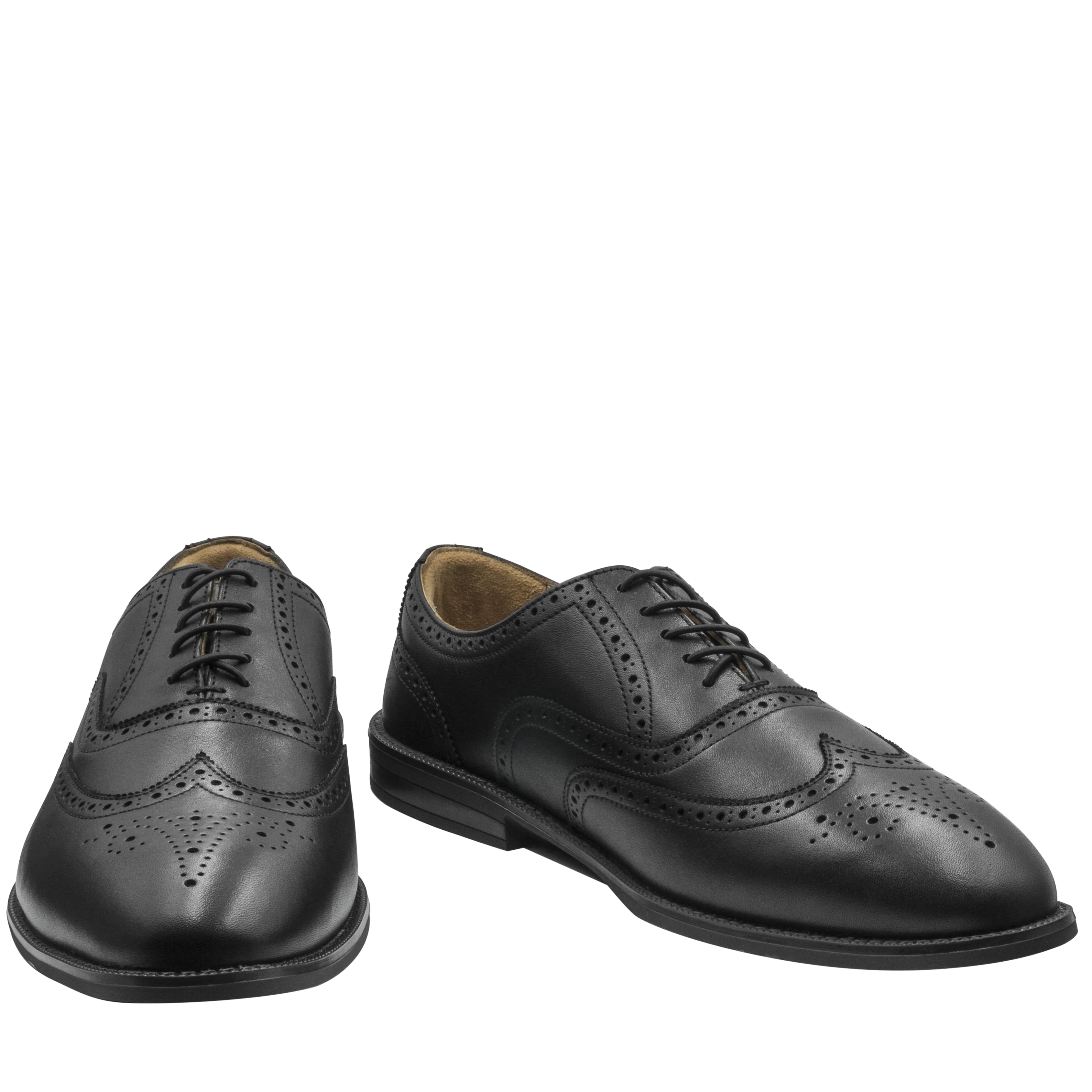 RAPTOR Wingtip Oxfords (Outlet)