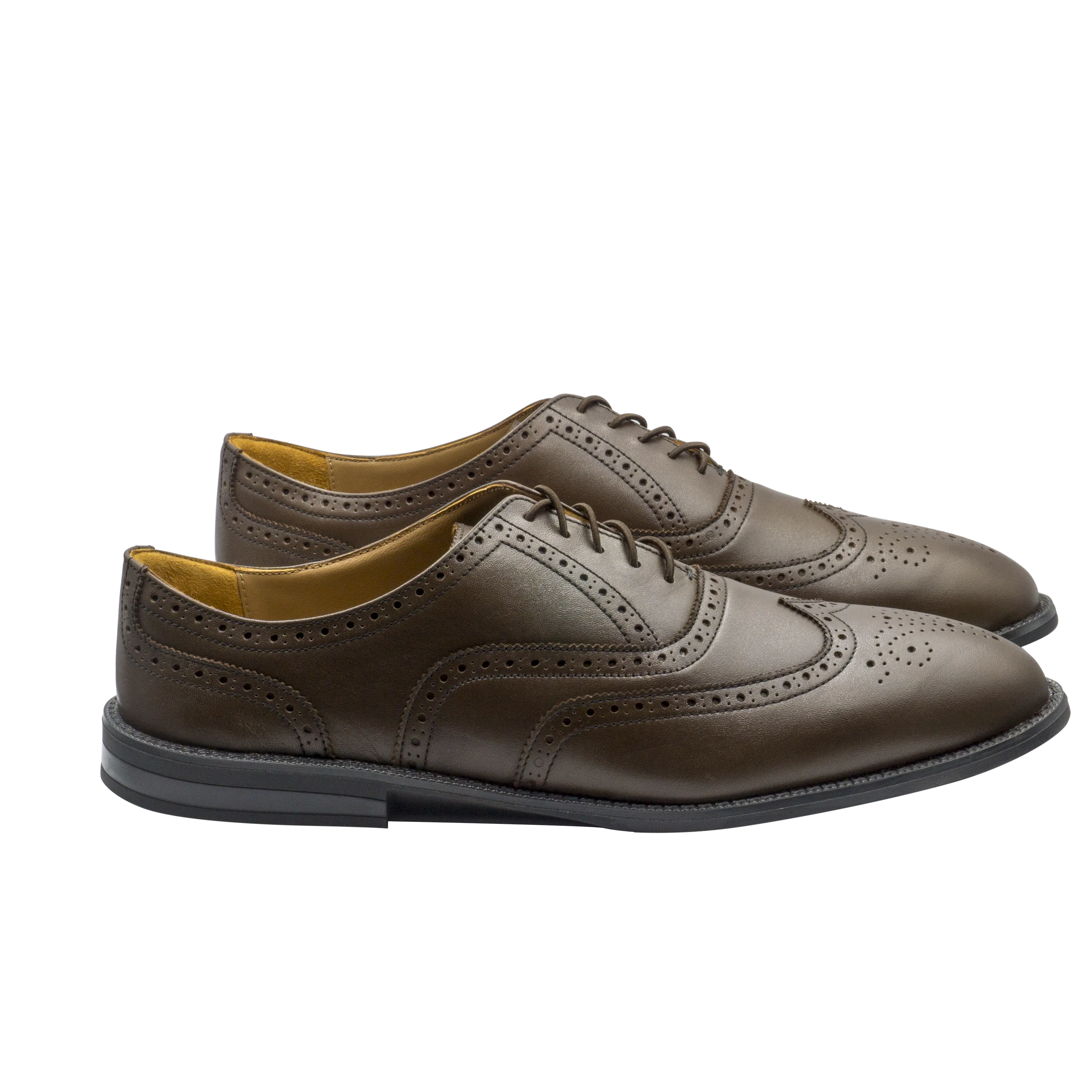 RAPTOR Wingtip Oxfords (Outlet)
