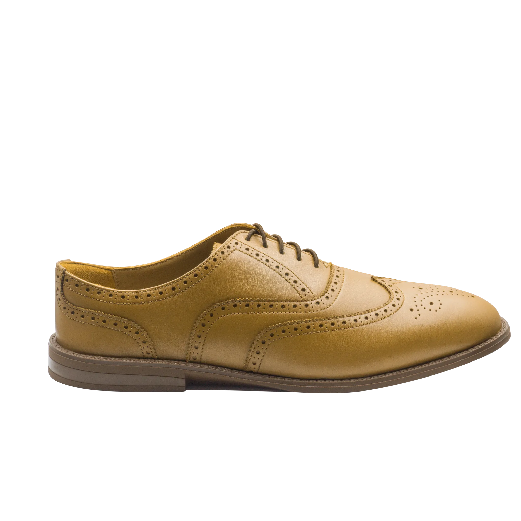 RAPTOR Wingtip Oxfords (Outlet)
