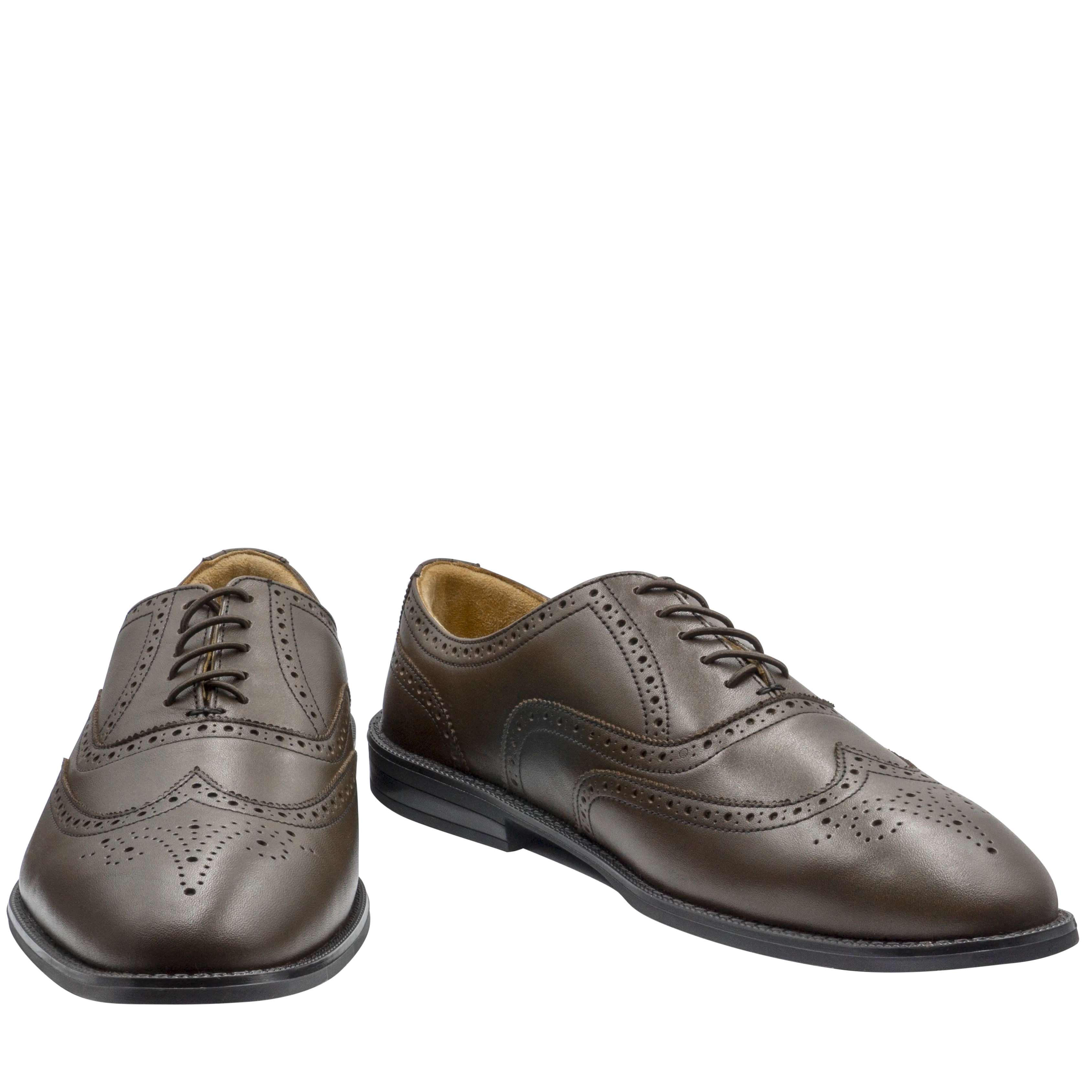 RAPTOR Wingtip Oxfords (Outlet)
