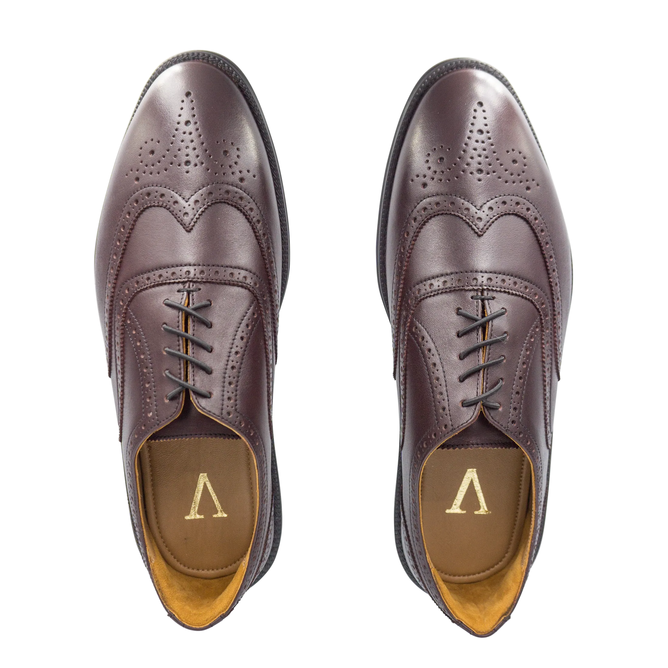 RAPTOR Wingtip Oxfords (Outlet)