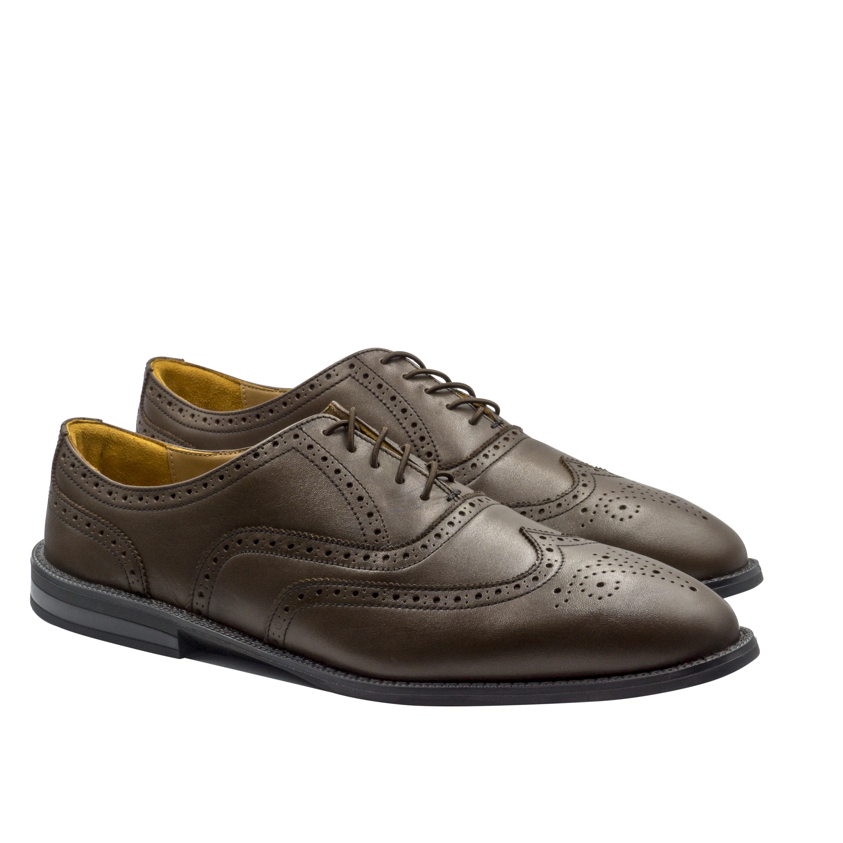 RAPTOR Wingtip Oxfords (Outlet)