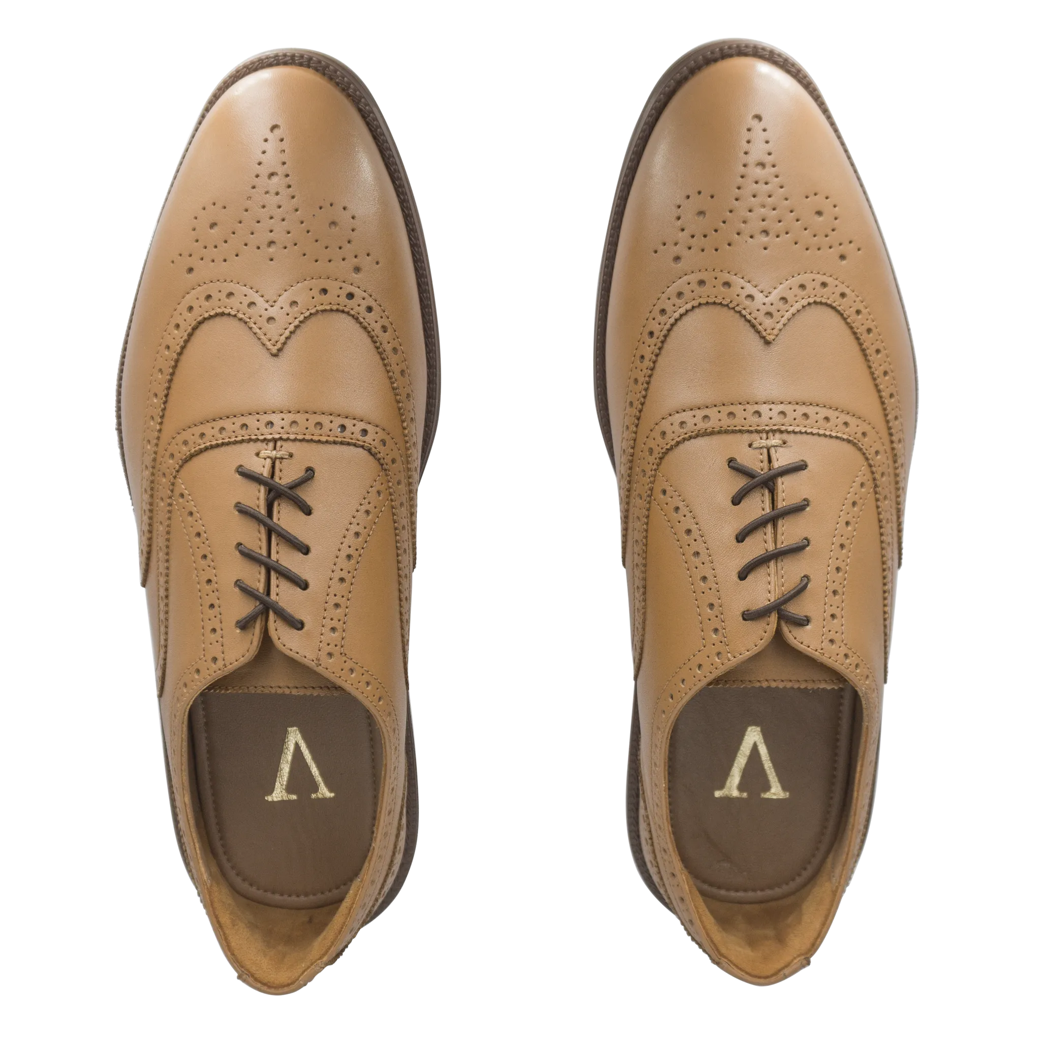 RAPTOR Wingtip Oxfords (Outlet)