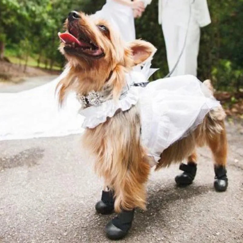 Walkabout, Walkaboot™ Sport Dog Traction Boots for All Surfaces