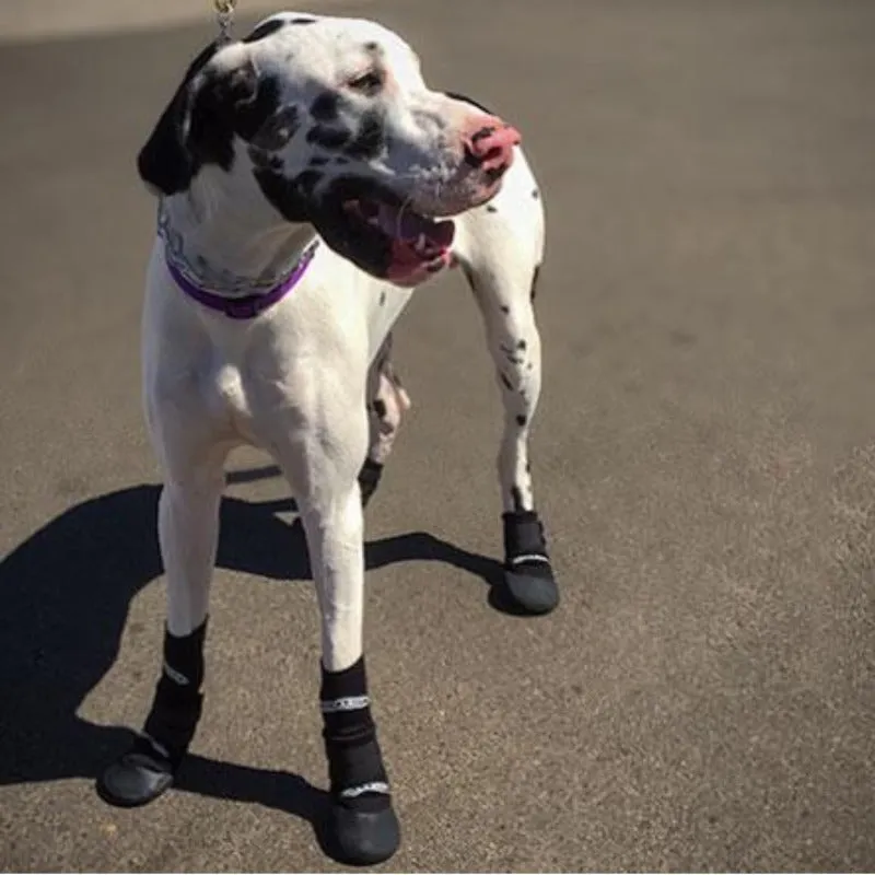 Walkabout, Walkaboot™ Sport Dog Traction Boots for All Surfaces